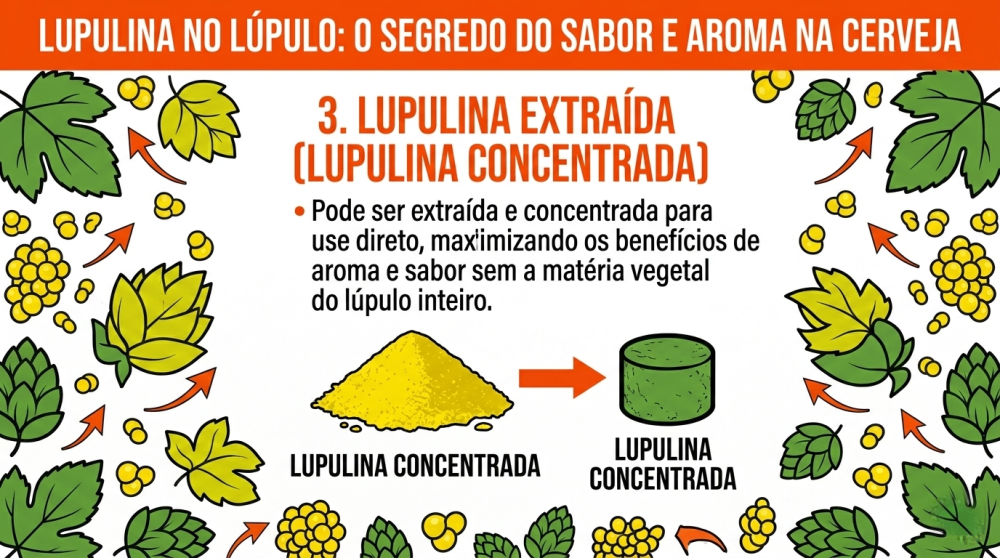 Lupulina Mago de Houblon