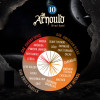 Cerveja St. Arnould 10 Wood Aged - Dark Strong Oak Intense - 2