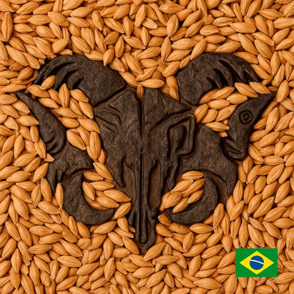 MALTE PILSEN AGRÁRIA (2,5 A 4,5 EBC) 1