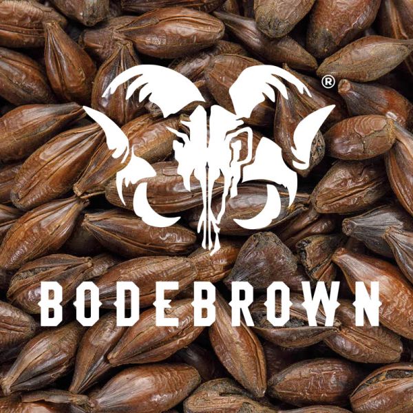MALTE CHOCOLATE (900 A 1100 EBC)