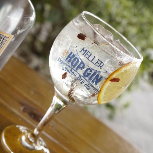 Taça Meller Hop Gin 600ml