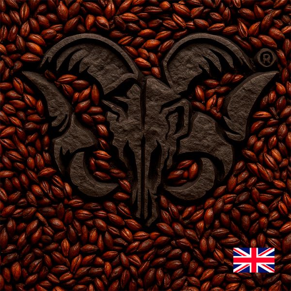 MALTE CHOCOLATE (900 A 1100 EBC) - 100g